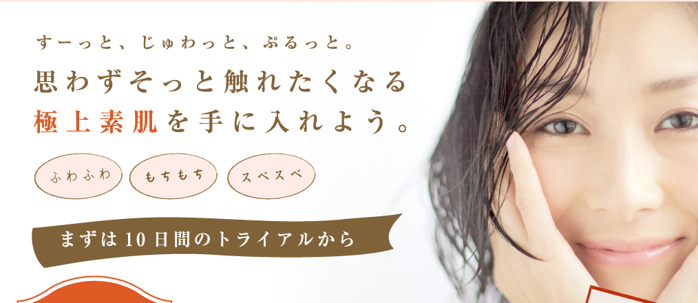 オムニストトライアル下部イメージ